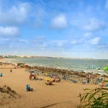 Amelia Torrevieja