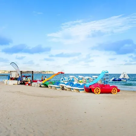 Amelia Torrevieja